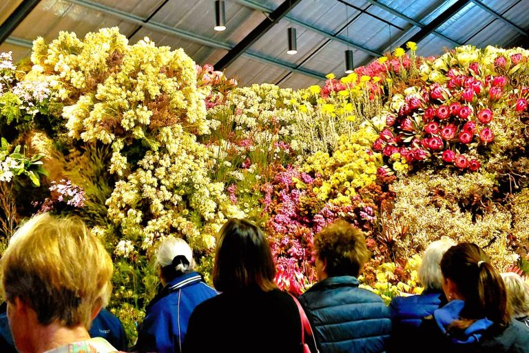 Flower power hits Stanford’s streets