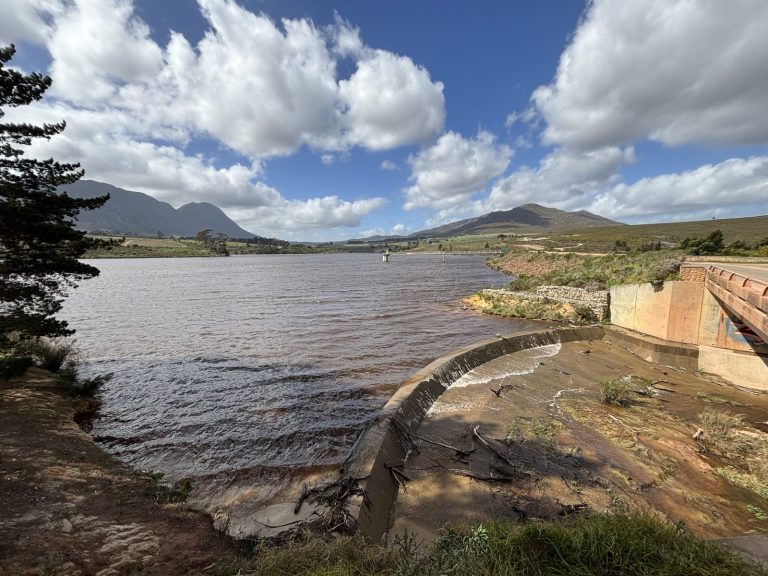 Silt cuts dam capacity