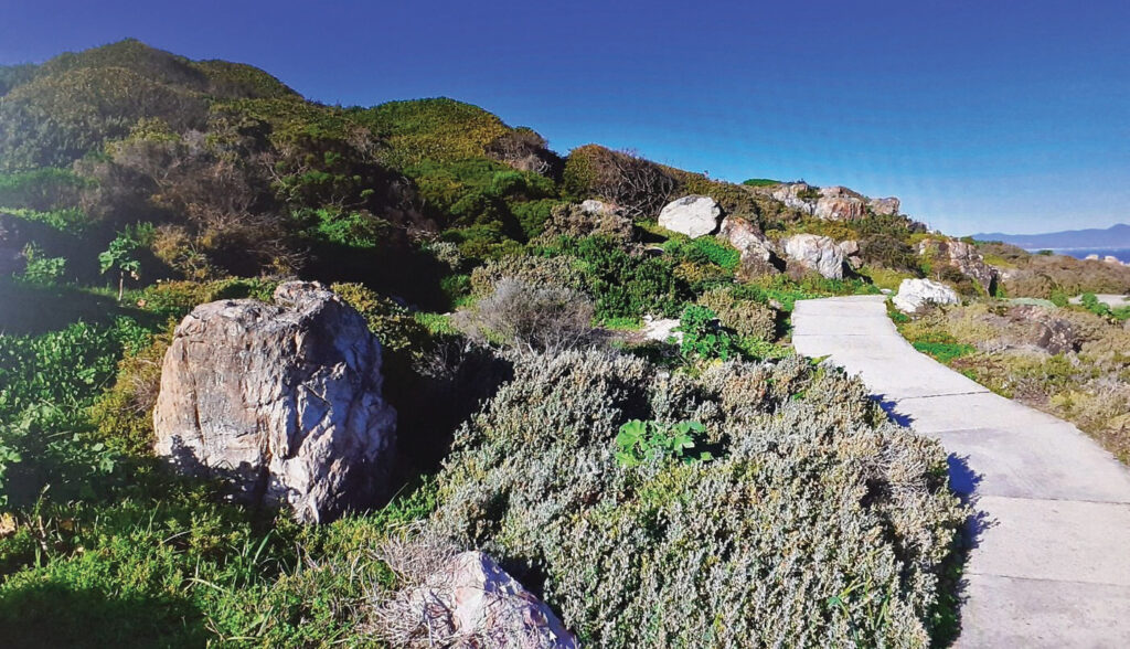 Cliff Path terror