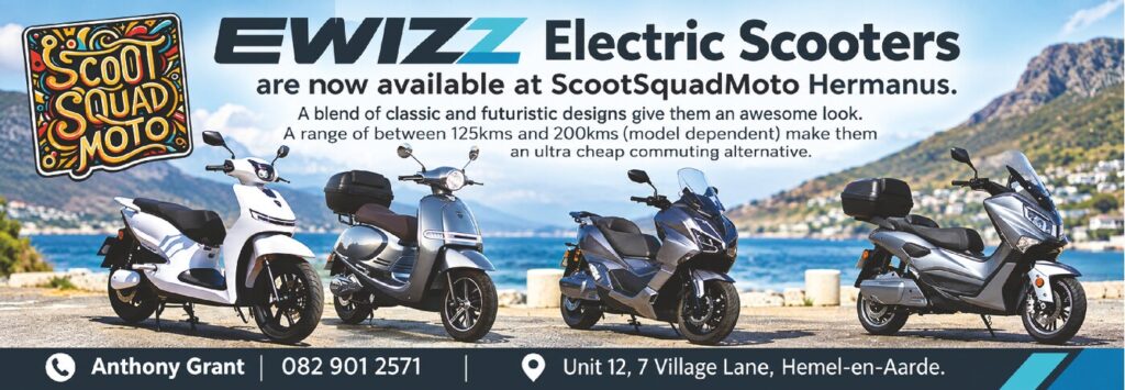 Vespa Hermanus
